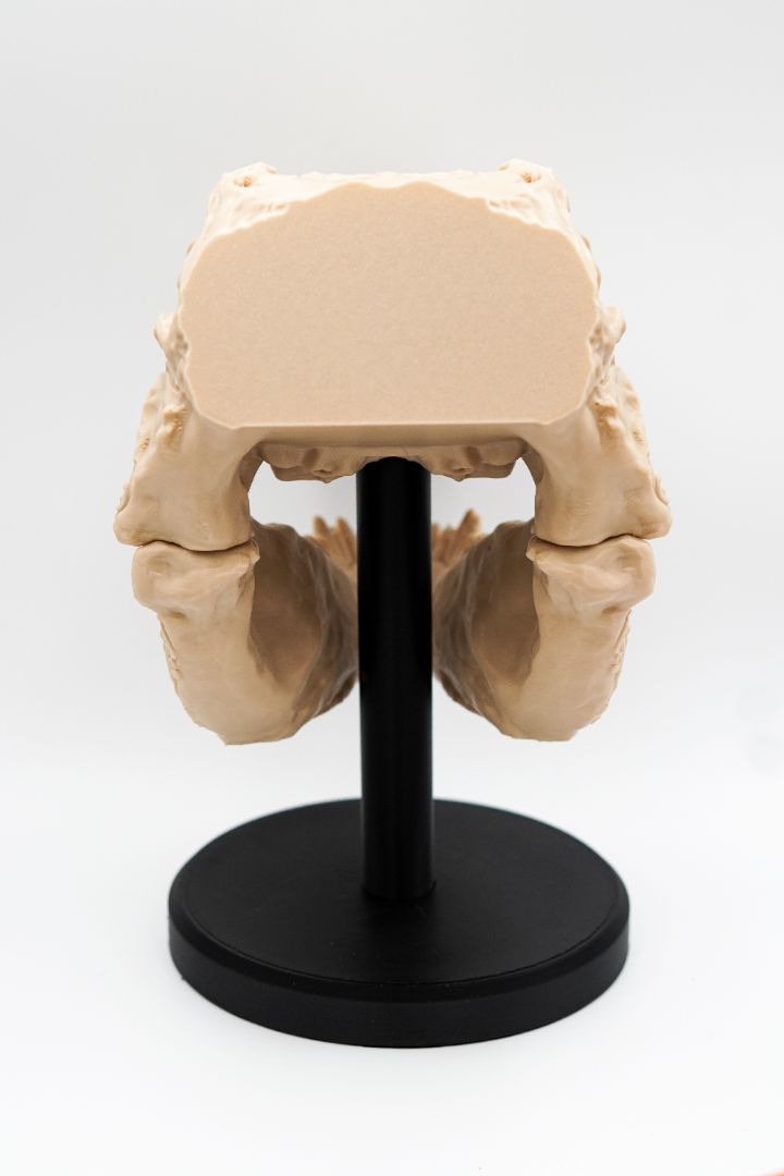 Intricately Carved Tyrannosaurus Rex Skull – Artisan Fossil Replica with Floral and Ornamental Detailing