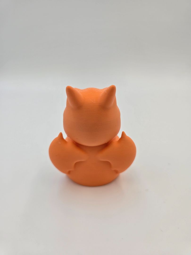 Charizard Hooded Pika