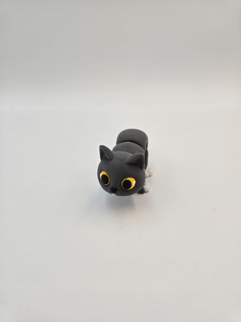 Articulated Cat