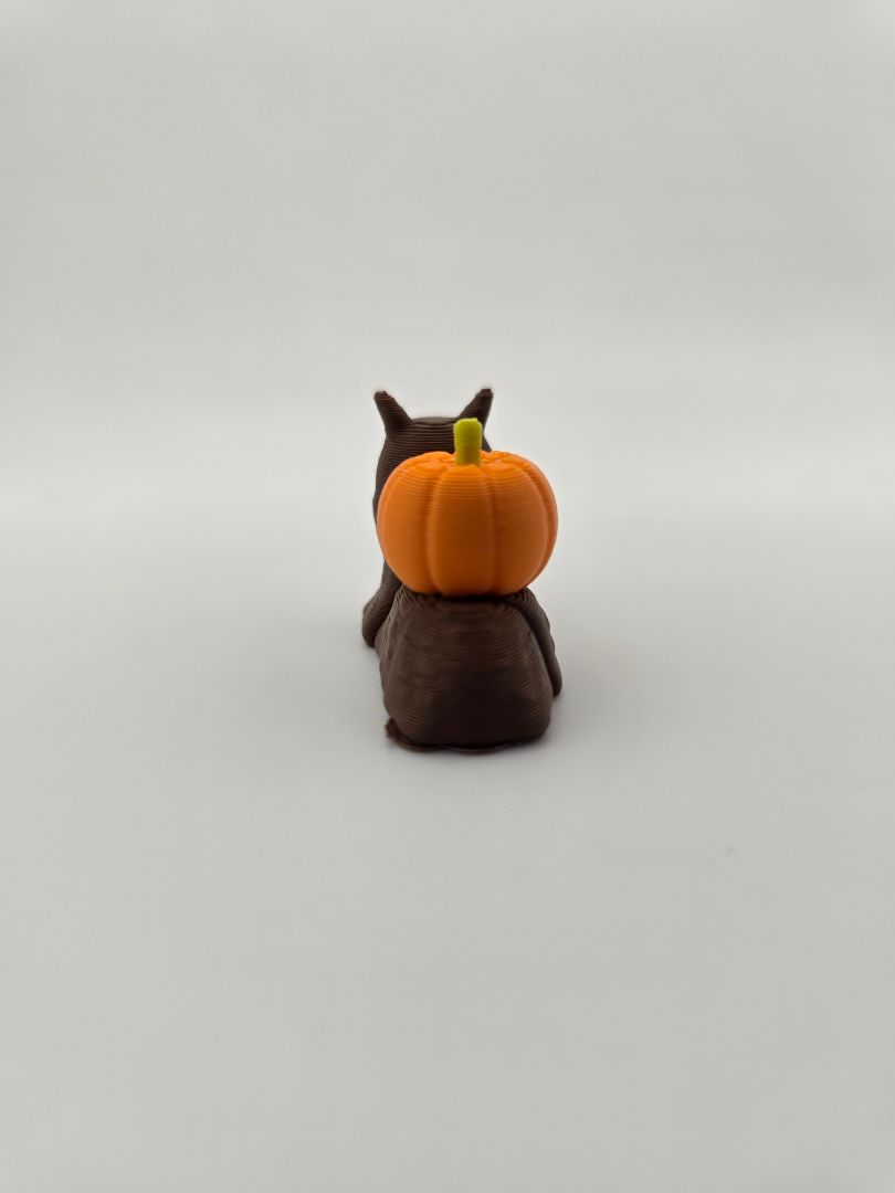 Spooky Snail