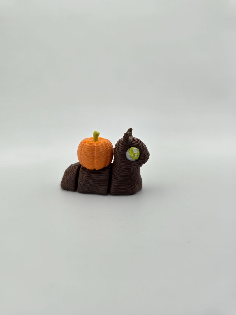 Spooky Snail