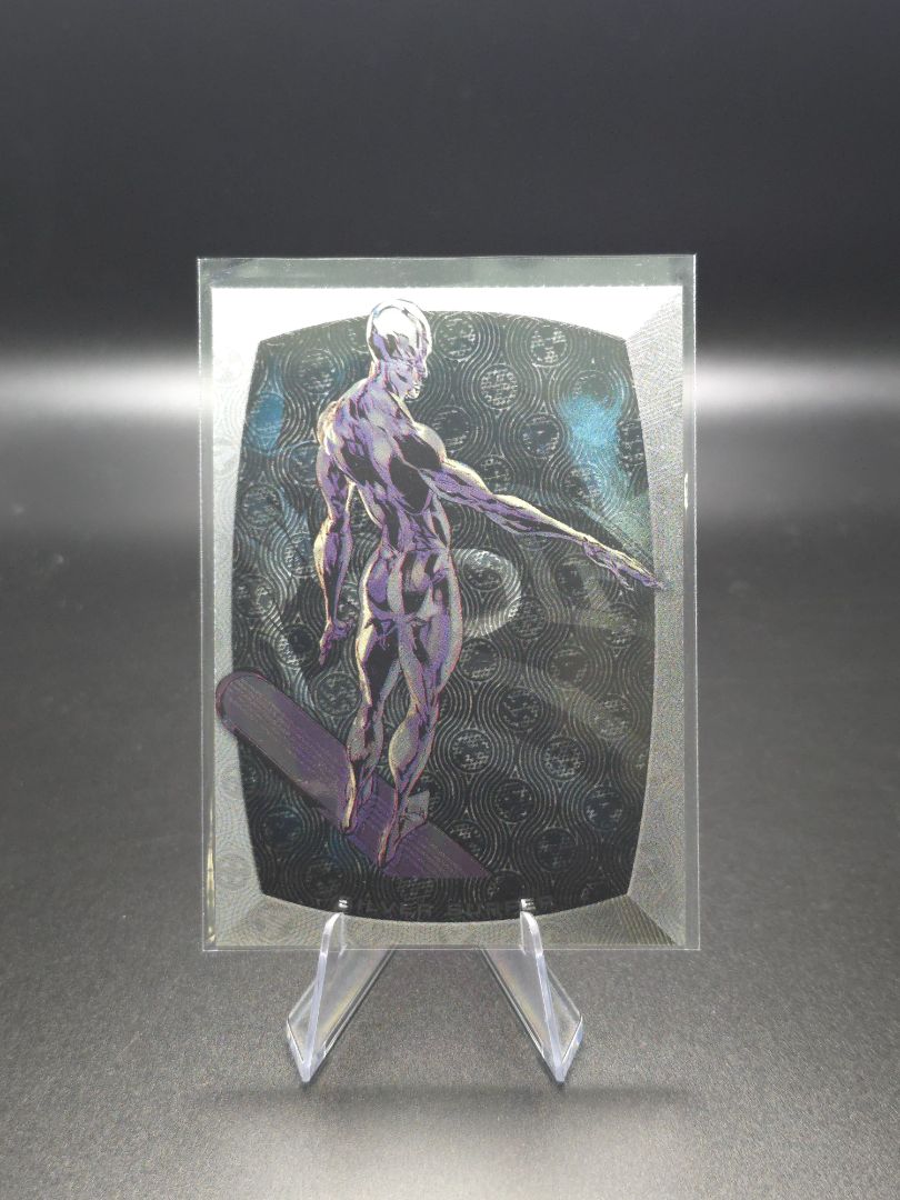 Silver Surfer Micromotion 11'