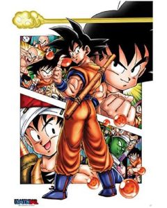 Dragon Ball Z - Goku Story