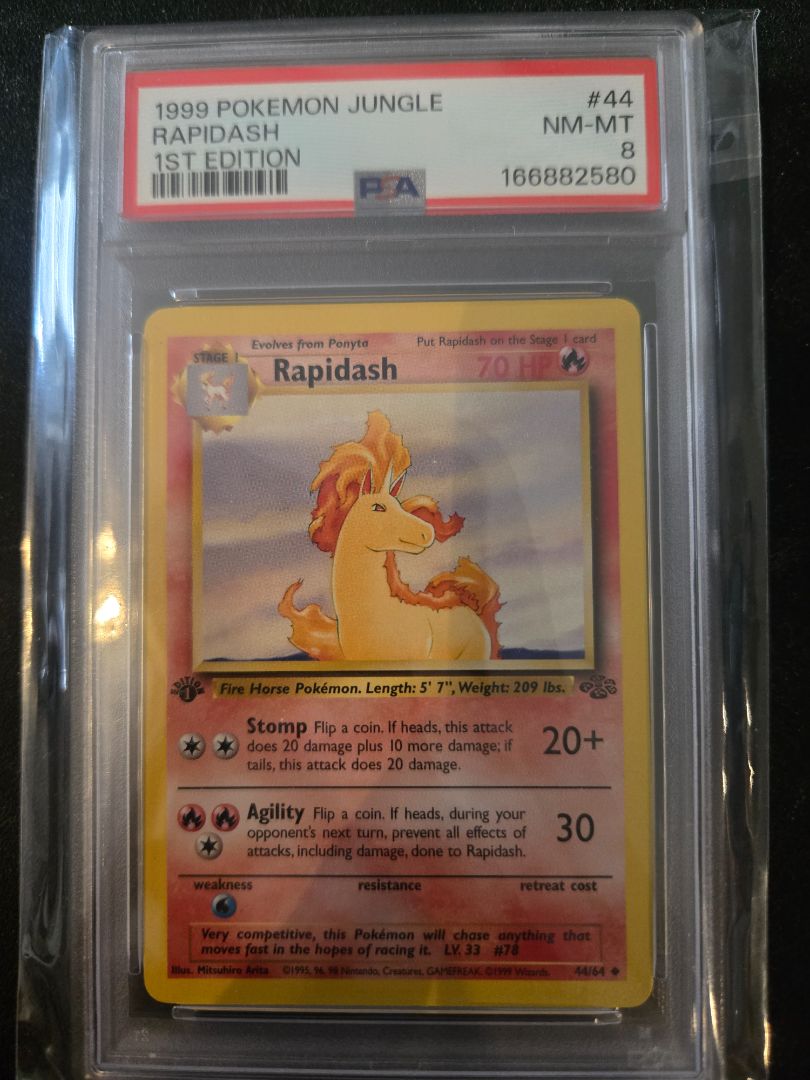 1st Edition Jungle Rapidash
