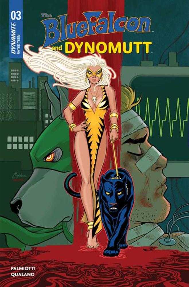 Blue Falcon & Dynomutt #3 Cover B Amanda Conner Variant