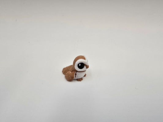 Hatchling Owl