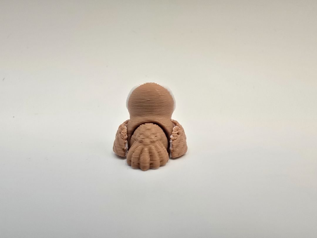Hatchling Owl
