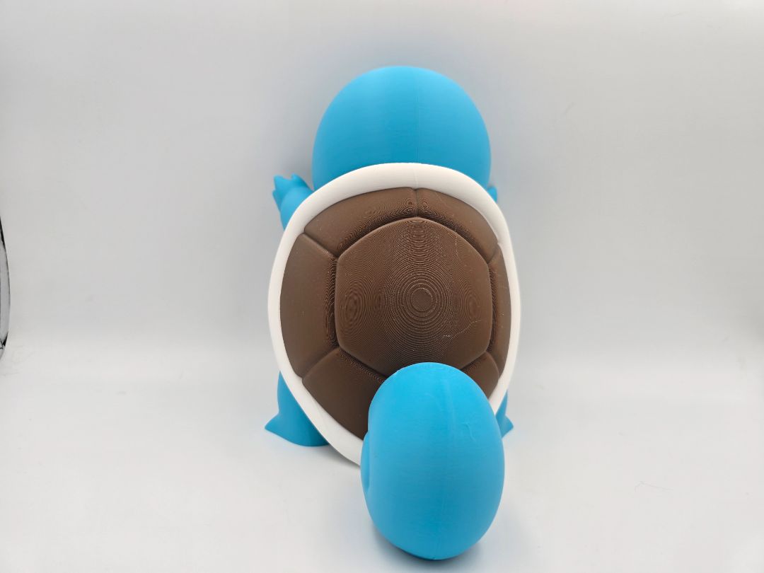 Window Squirtle