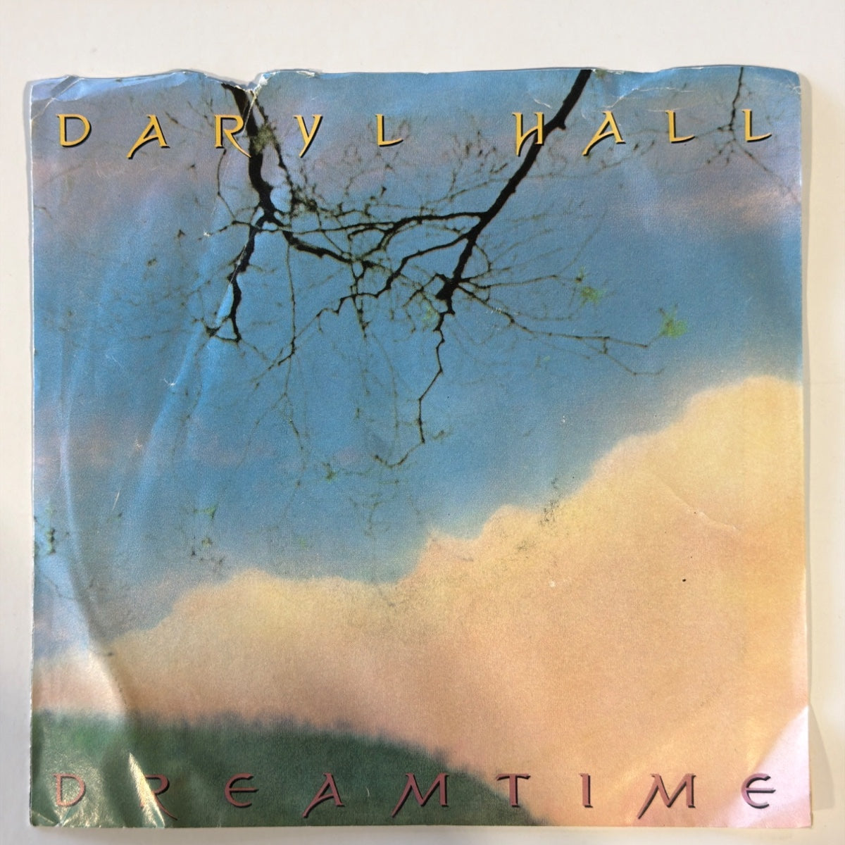 Daryl Hall - Dreamtime (1986) - Vinyl
