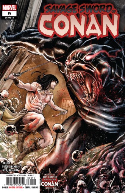 Savage Sword of Conan, Vol. 2 #9A Regular Marco Checchetto Cover