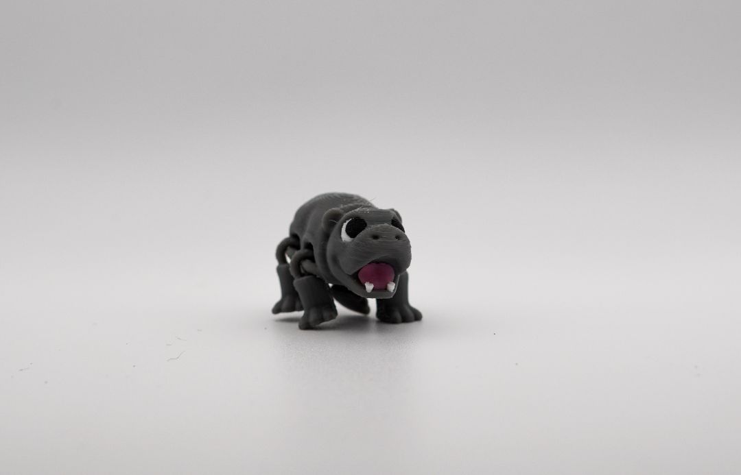 Mini Moo Dang