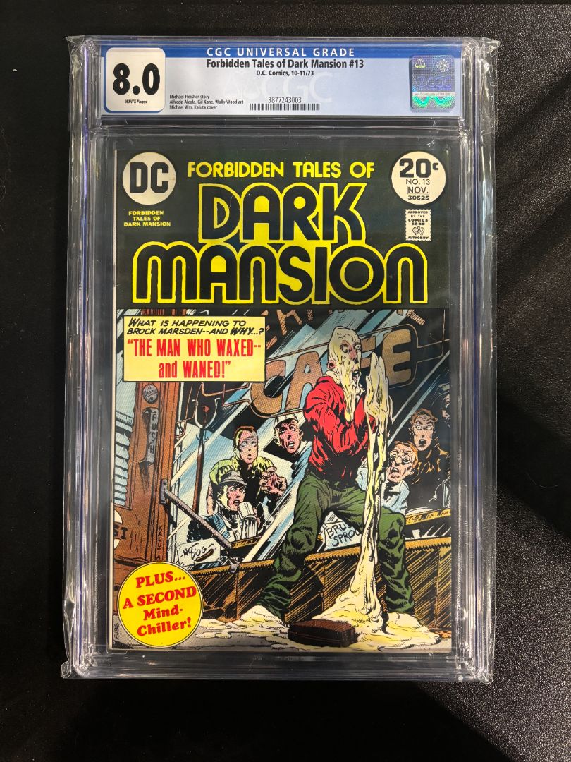 Forbidden Tales of Dark Mansion #13