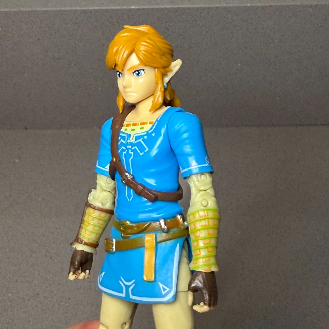 Zelda Breath of the Wind Link