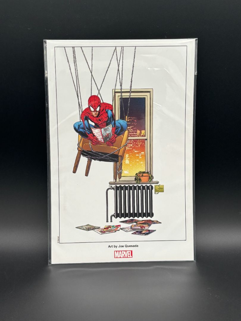 Spider-Man Promo Sheet