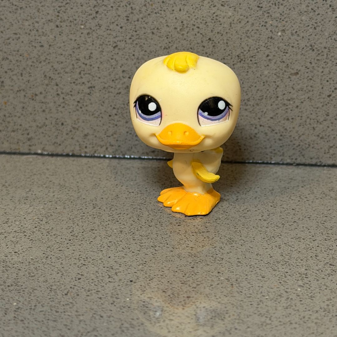 LPS Duck #1654