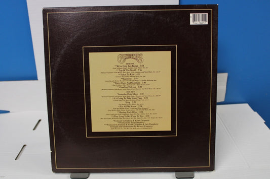 Carpenters 1969-1973 The Singles