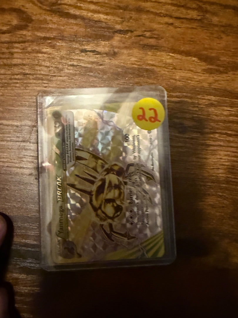 Yanmega Break