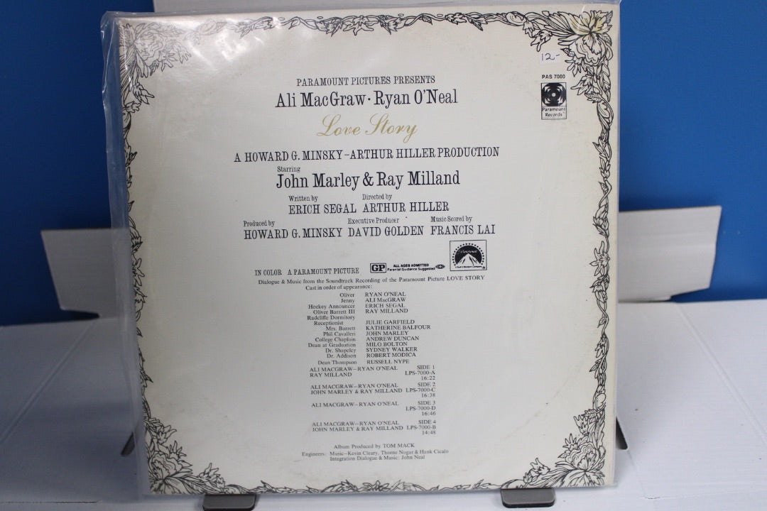 LOVE STORY love means never having to say youre sorry