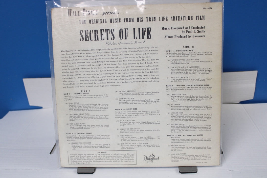 SECRETS LIFE Disney