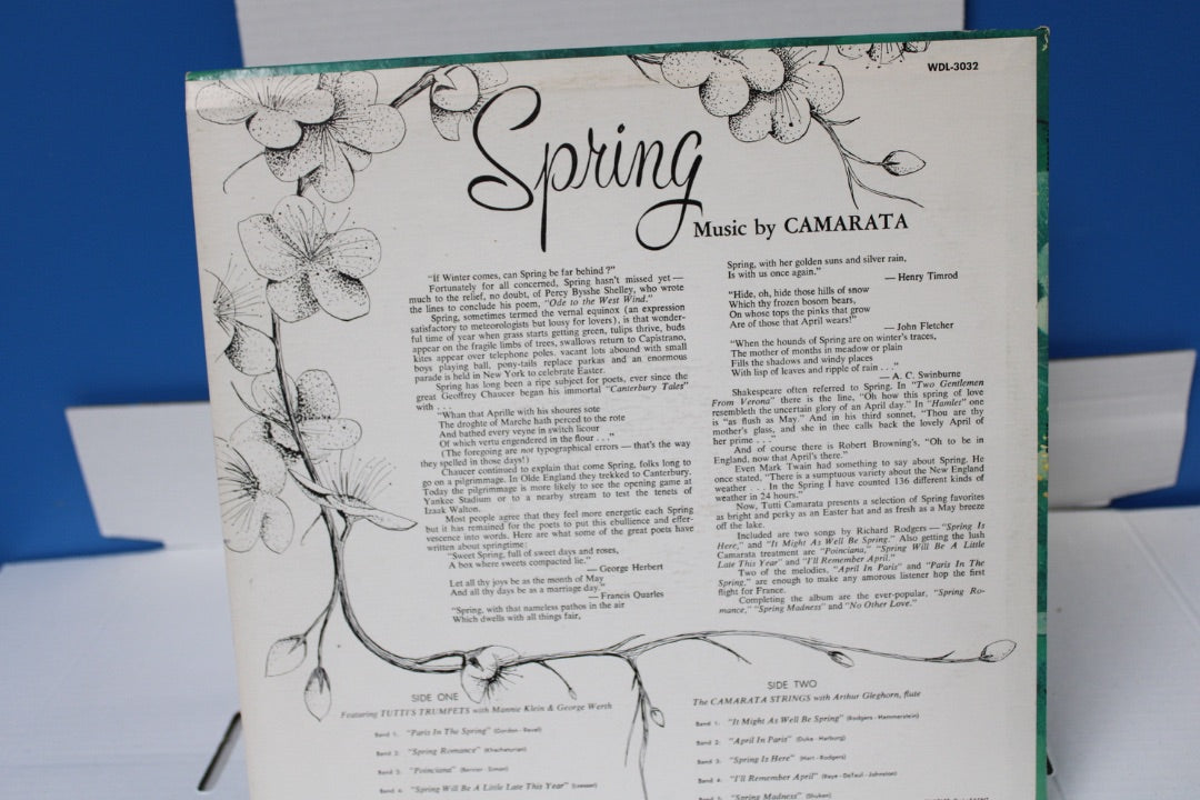 Camarta Spring Disneyland