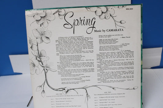 Camarta Spring Disneyland