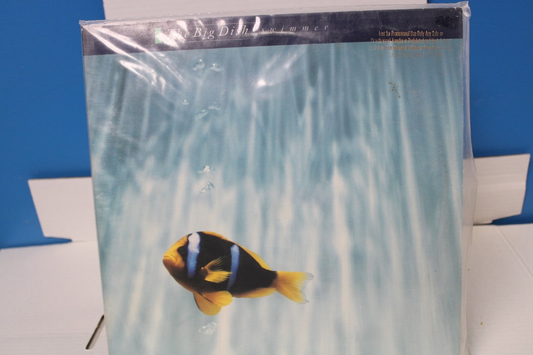 Big Dish Swimmer PROMO