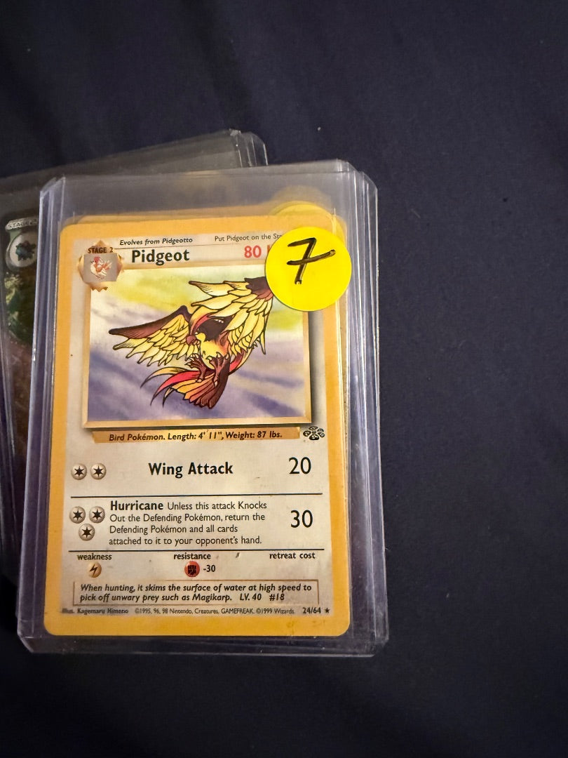 Pidgeot