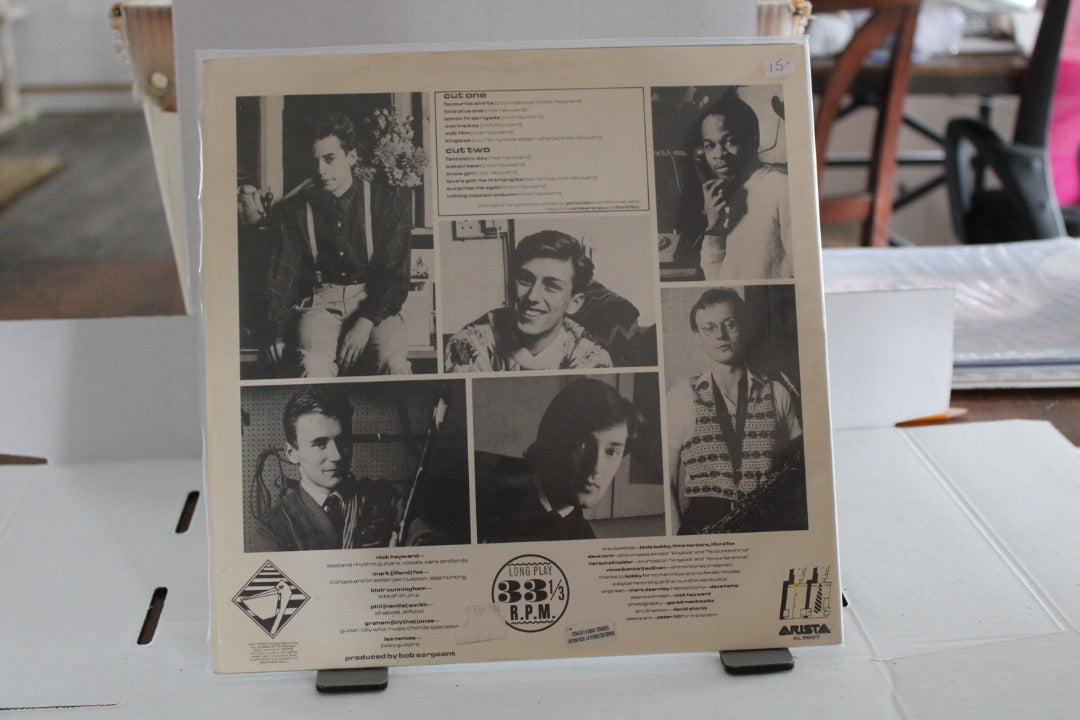 Haircut One Hundred Pelican West