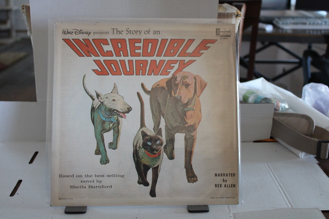 WALT DISNEY INCREDIBLE JOURNEY
