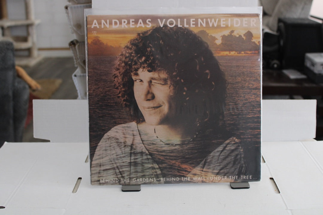 Behind the Gardens by Andreas Vollenweider