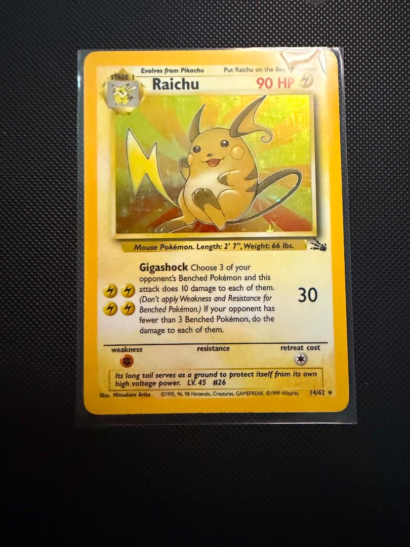 Raichu Jungle – Vintage 1999