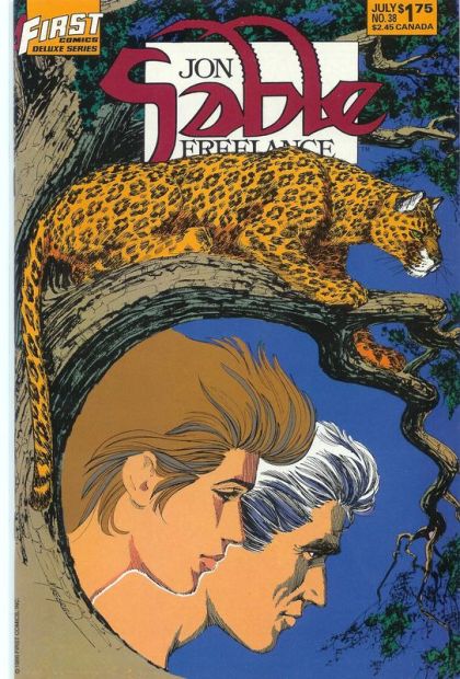 Jon Sable, Freelance #38