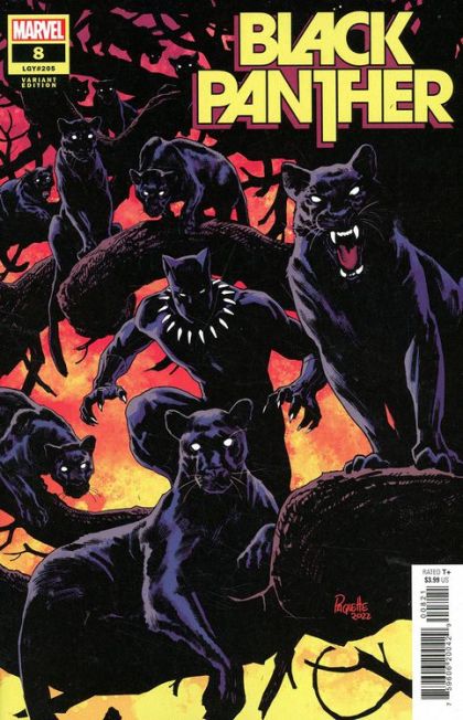 Black Panther, Vol. 8 #8B Yanick Paquette Variant