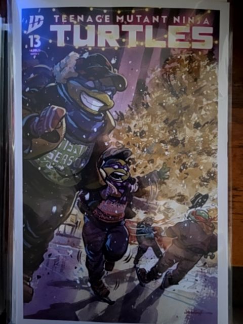 Teenage Mutant Ninja Turtles, Vol. 6 #13, cover C