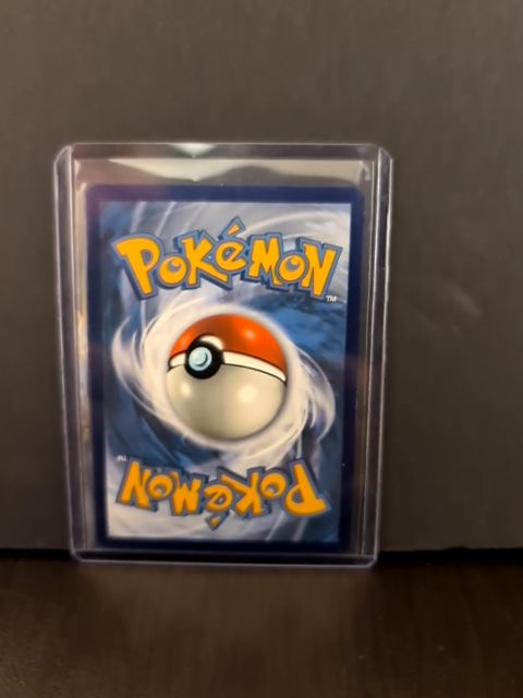 Dachsbun ex 067/142 Sv07: Stellar Crown Double Rare