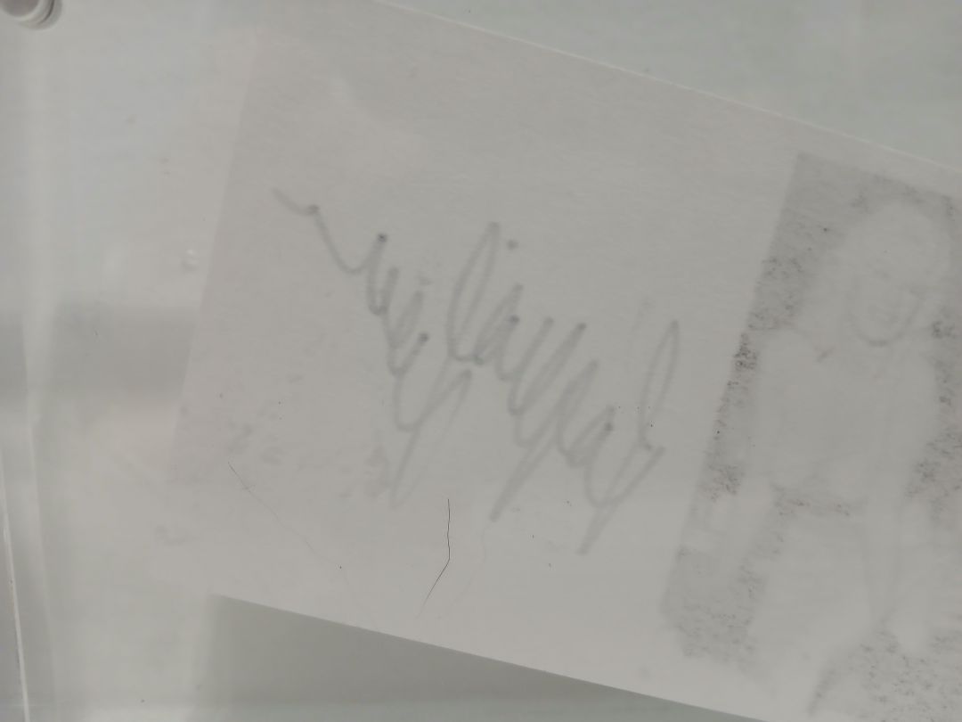 Sophia Loren Signature