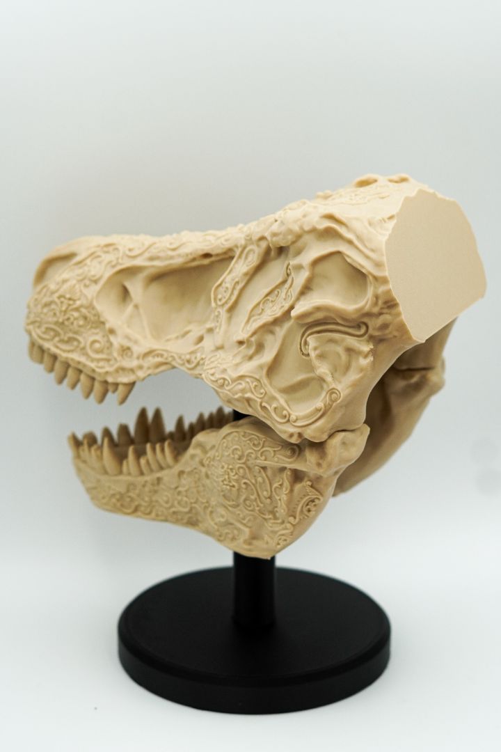 Intricately Carved Tyrannosaurus Rex Skull – Artisan Fossil Replica with Floral and Ornamental Detailing
