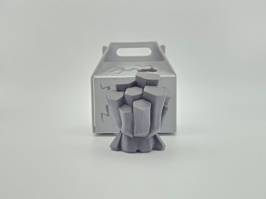 Mystery Prehistoric Pet Rocks