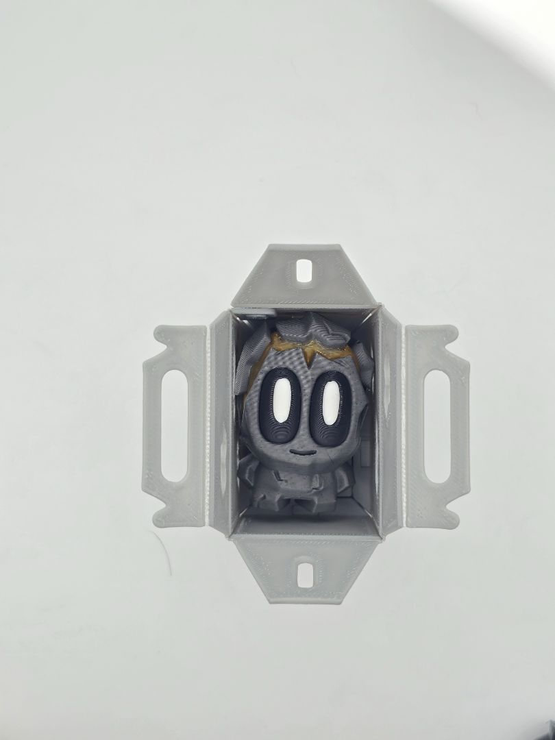 Mystery Prehistoric Pet Rocks