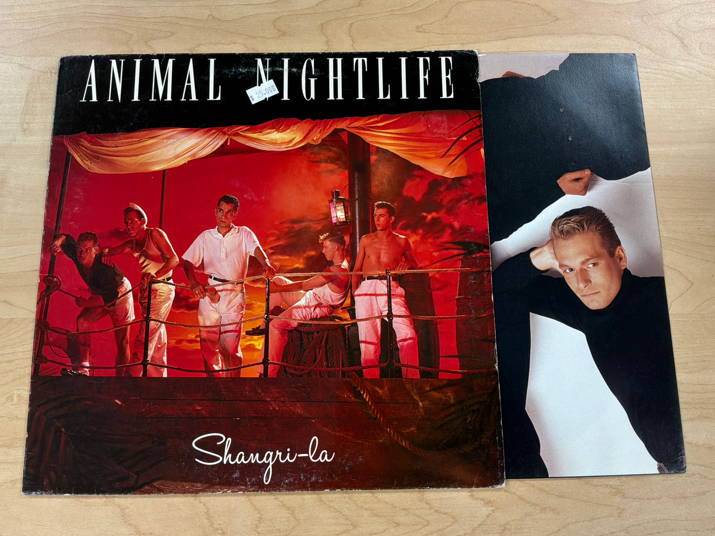 Animal Nightlife - Shangri-La
