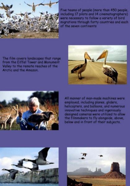 Winged Migration (2001) Special Edition - DVD