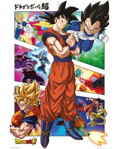 Dragon Ball Z - Super Panels
