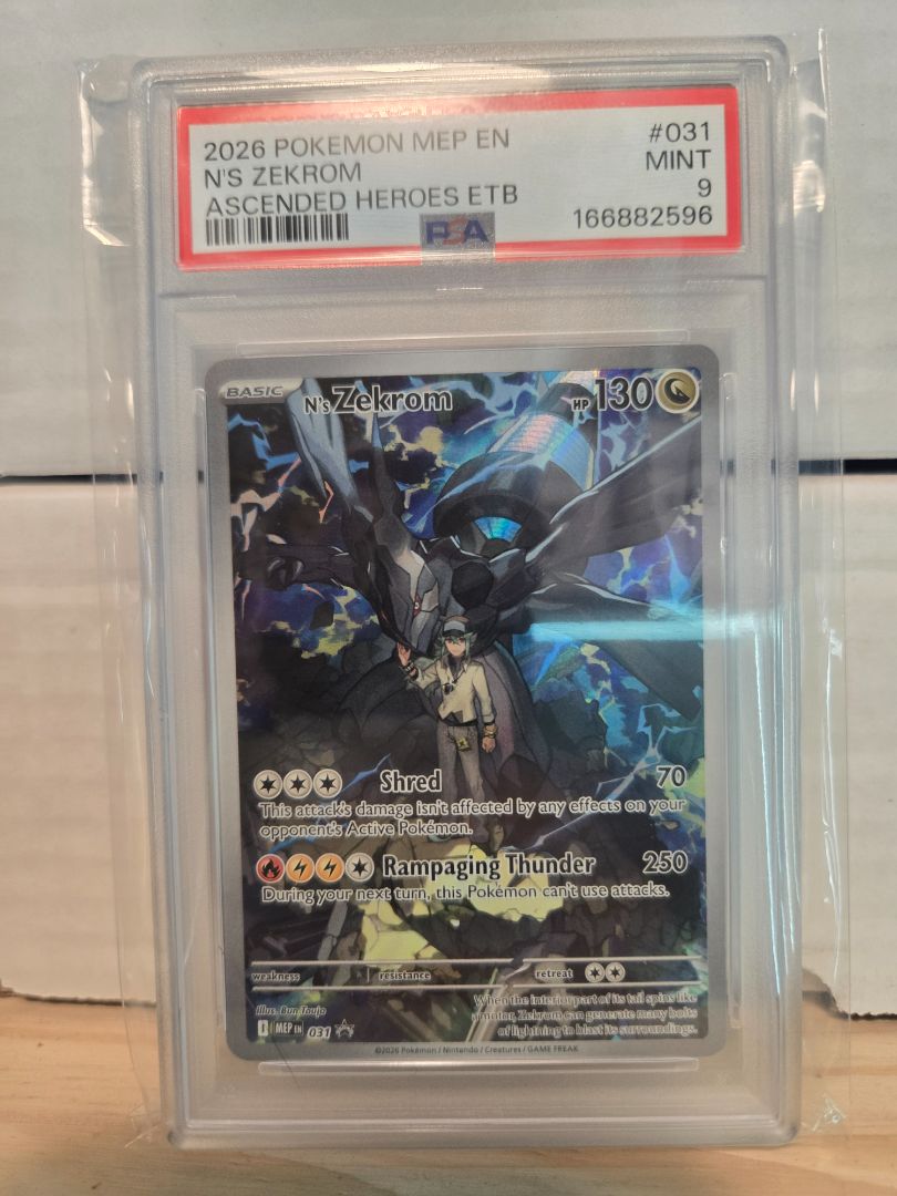 N's Zekrom