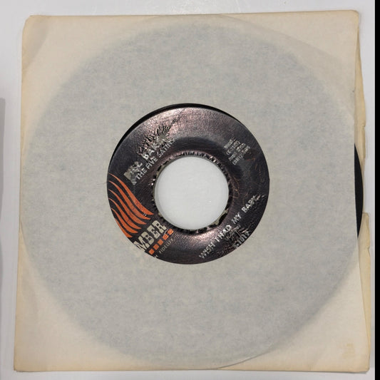 Fred Parris & The Five Satins - Wish That I Had My Baby - Vinyl