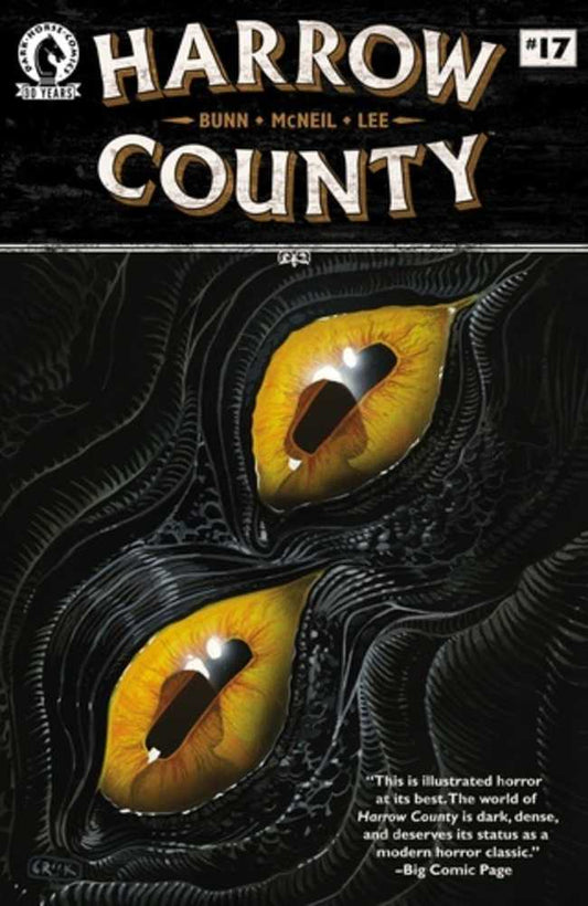 Harrow County #17