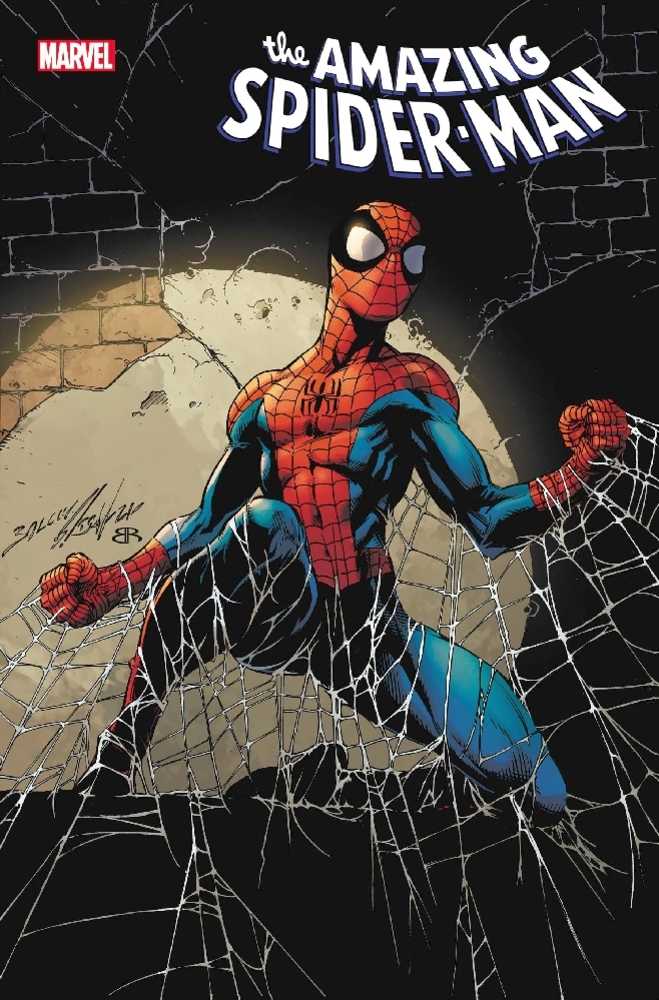 Amazing Spider-Man #70 Sinw