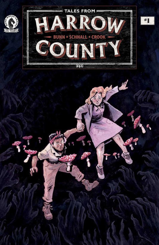 Tales From Harrow County Fair Folk #1 (Of 4) Cover A Schnall
