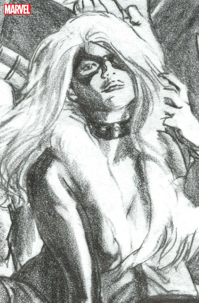 Mary Jane & Black Cat 4 Alex Ross Timeless Black Cat Full Art Sketch Variant