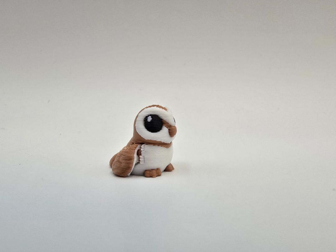 Hatchling Owl