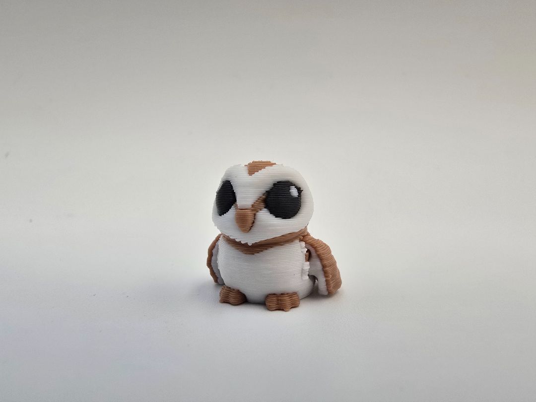 Hatchling Owl
